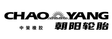 杭州朝阳橡胶有限公司