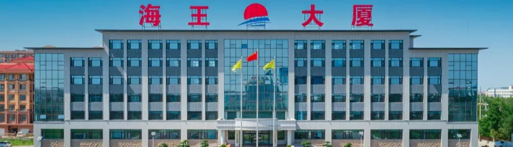 山东海王化工案例