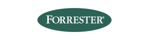 forrester认证 forrester认证,中国低代码,入选厂商